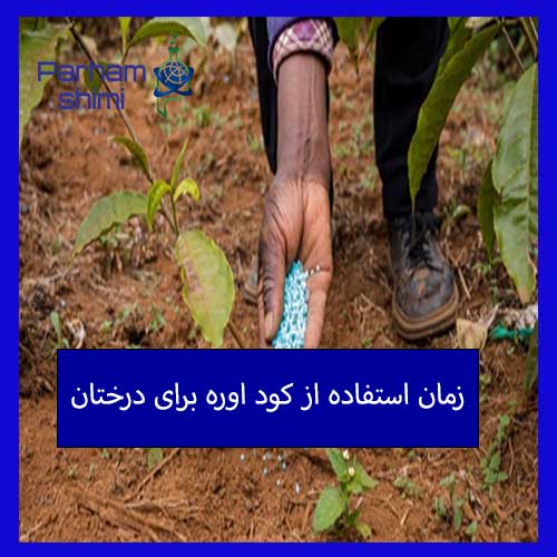 زمان استفاده از کود اوره برای درختان