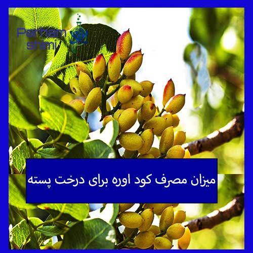 میزان مصرف کود اوره برای درخت پسته